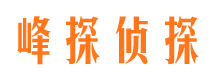 沐川市私家侦探